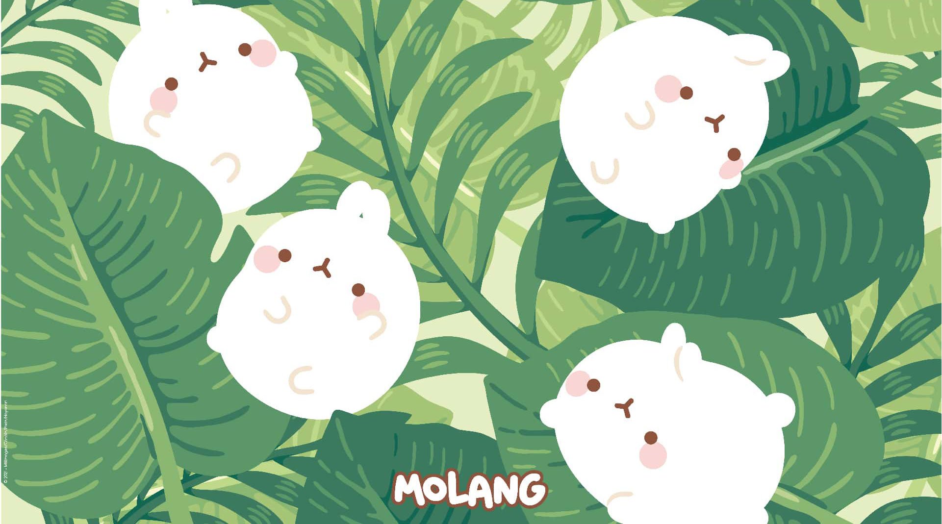 Baby Geekopédia - Qui est Molang ?