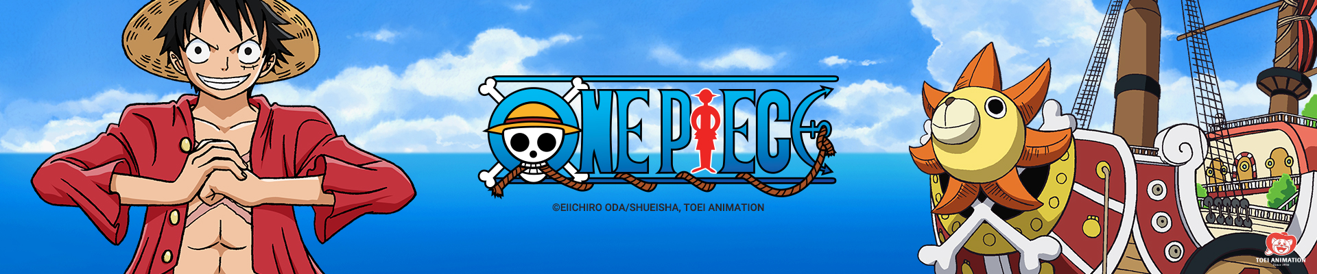 One Piece ™