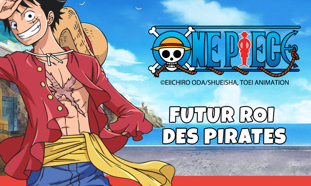 Les nouveautés One Piece arrivent sur Baby geek title=